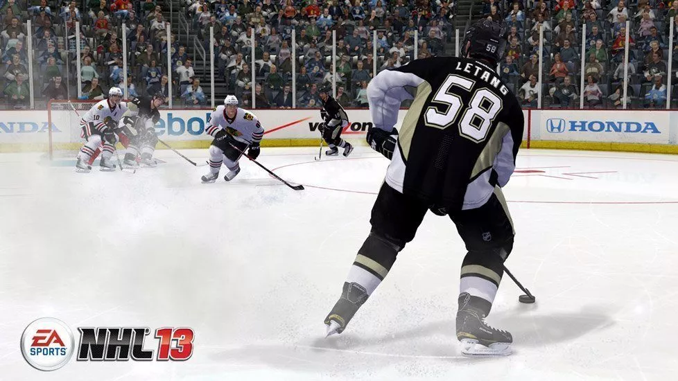 nhl13defense