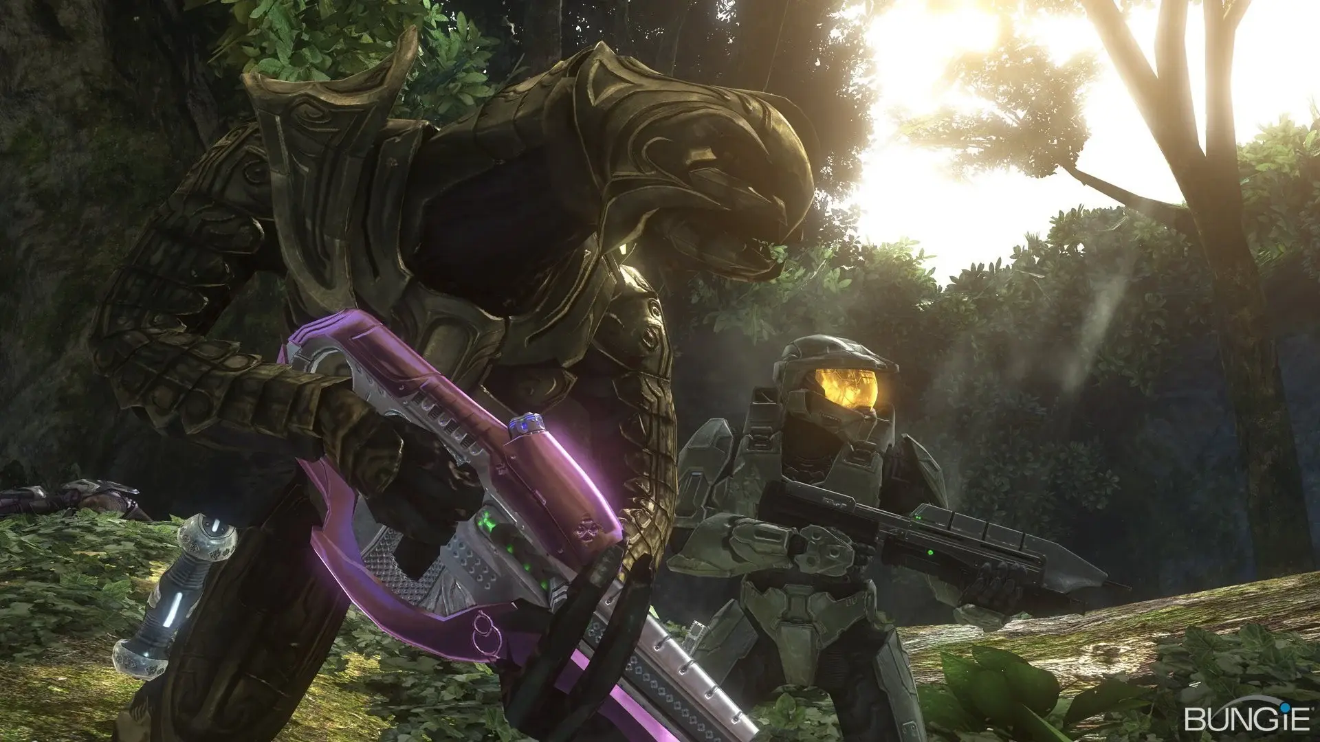 arbiter