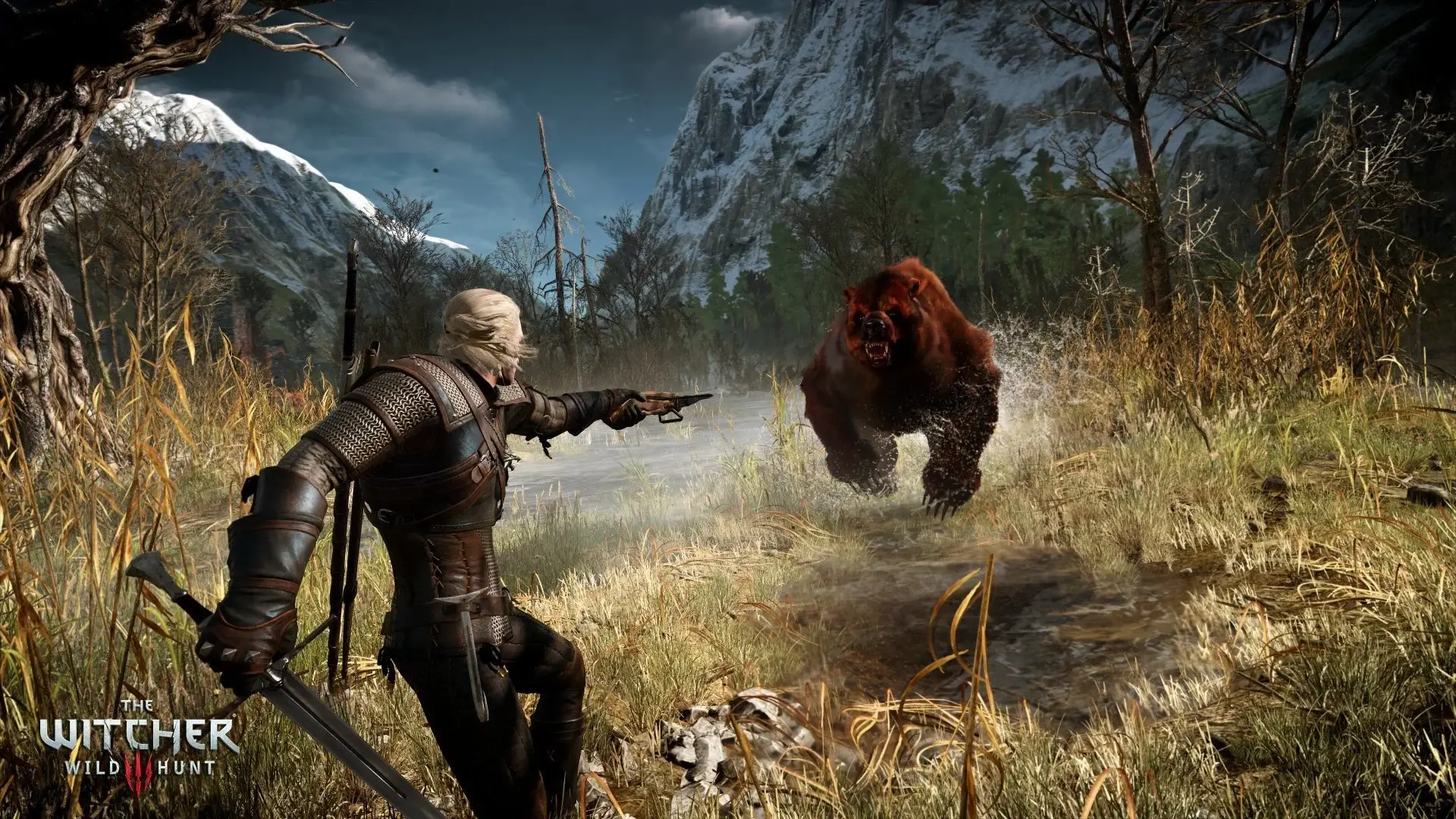 witcher bear