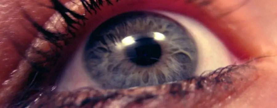 eyeball