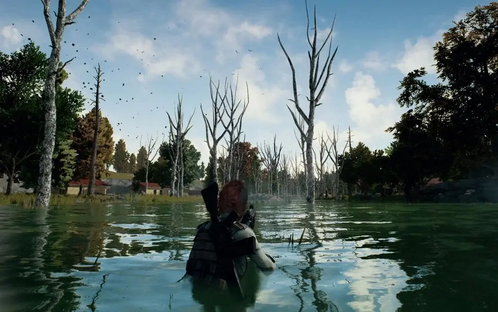 PUBG water