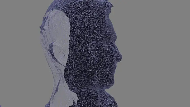 3D model 1