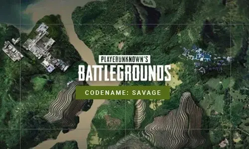 pubg savage