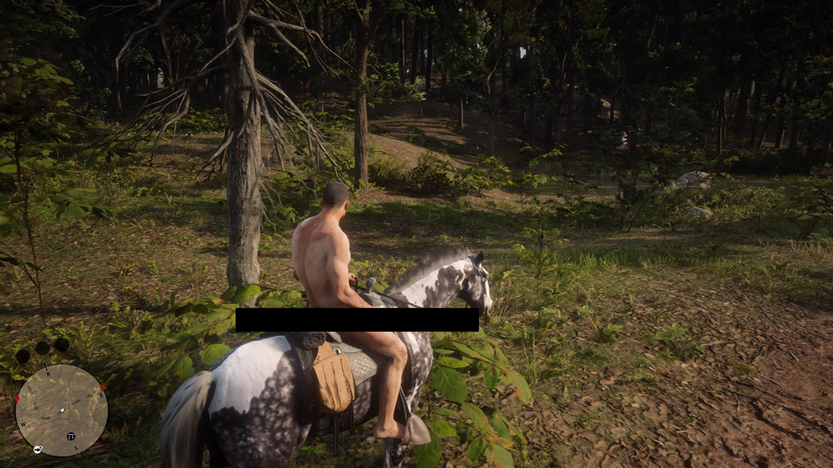 Red Dead Redemption 2 nude mod is disappointing for Arthur.