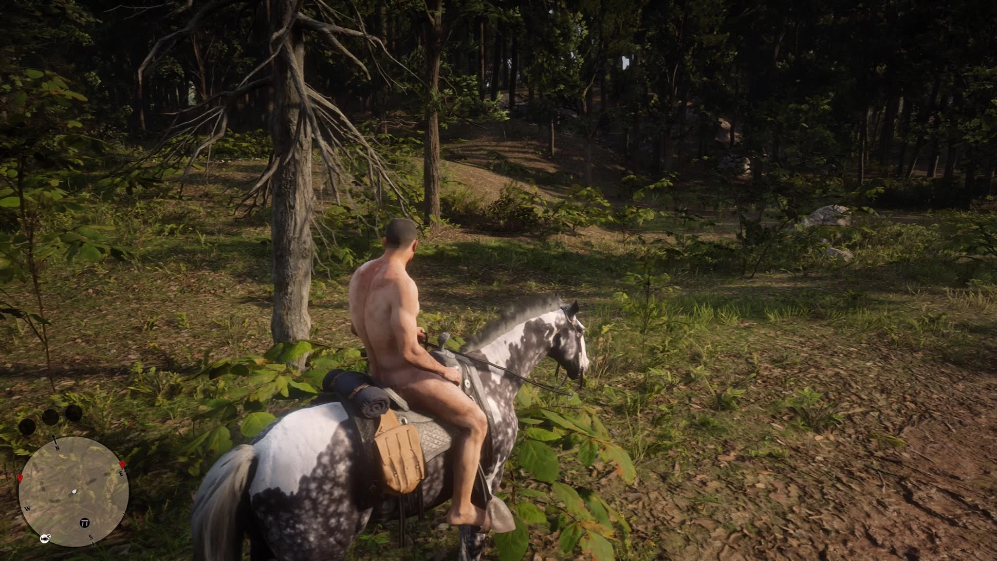 Red dead redemption 2 nudity