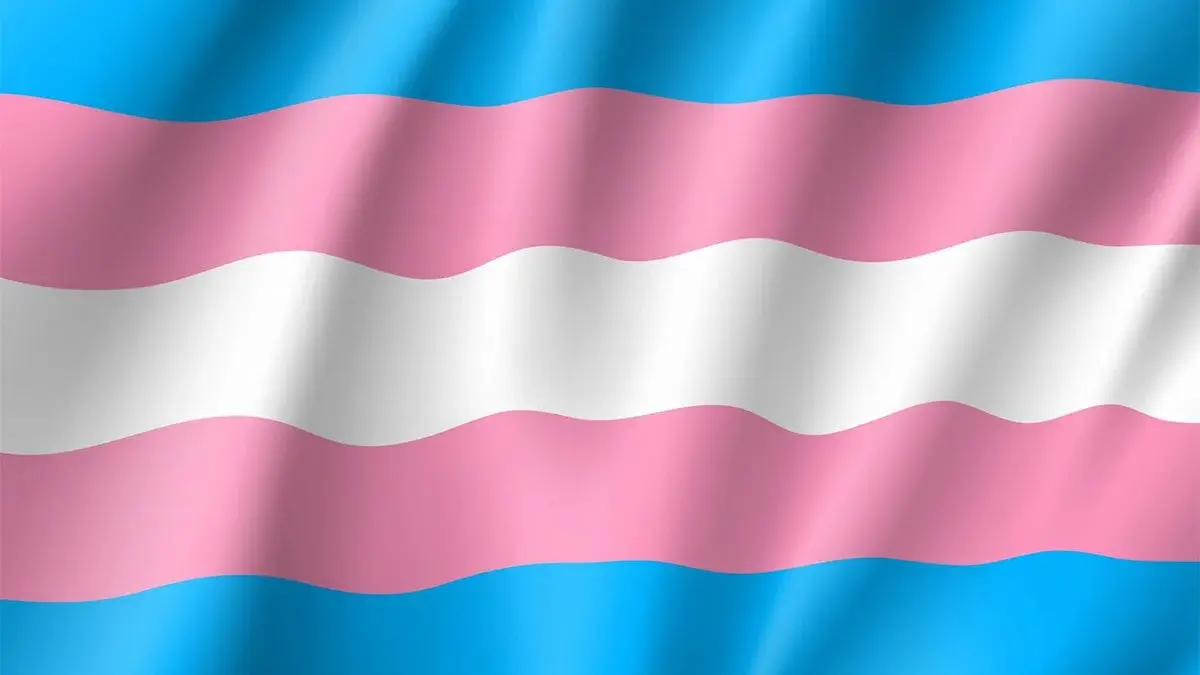 transgender flag