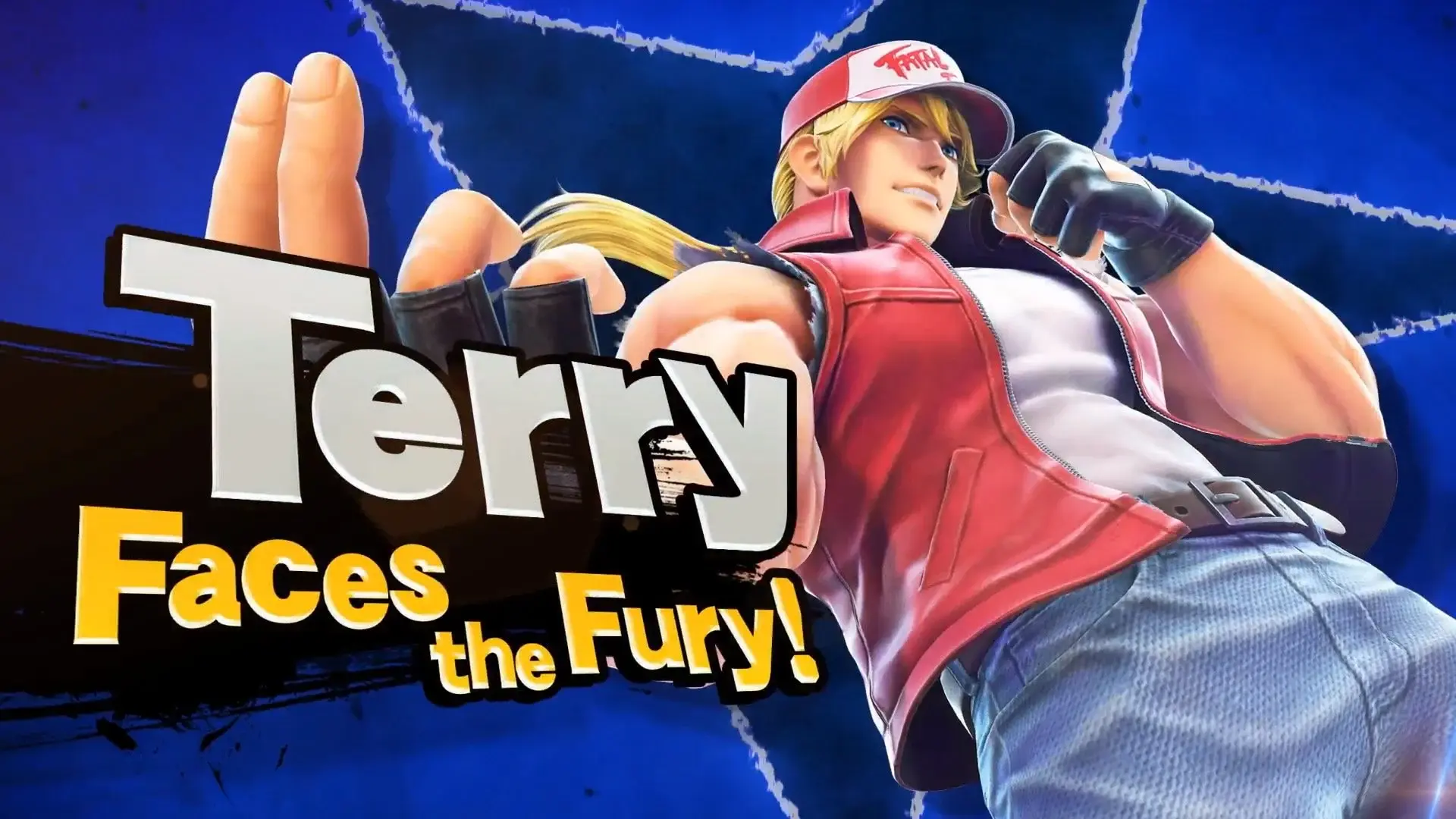 terry bogard