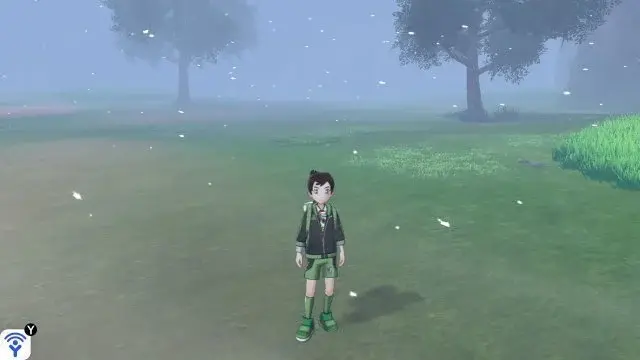 snowstorm pokemon sword shield
