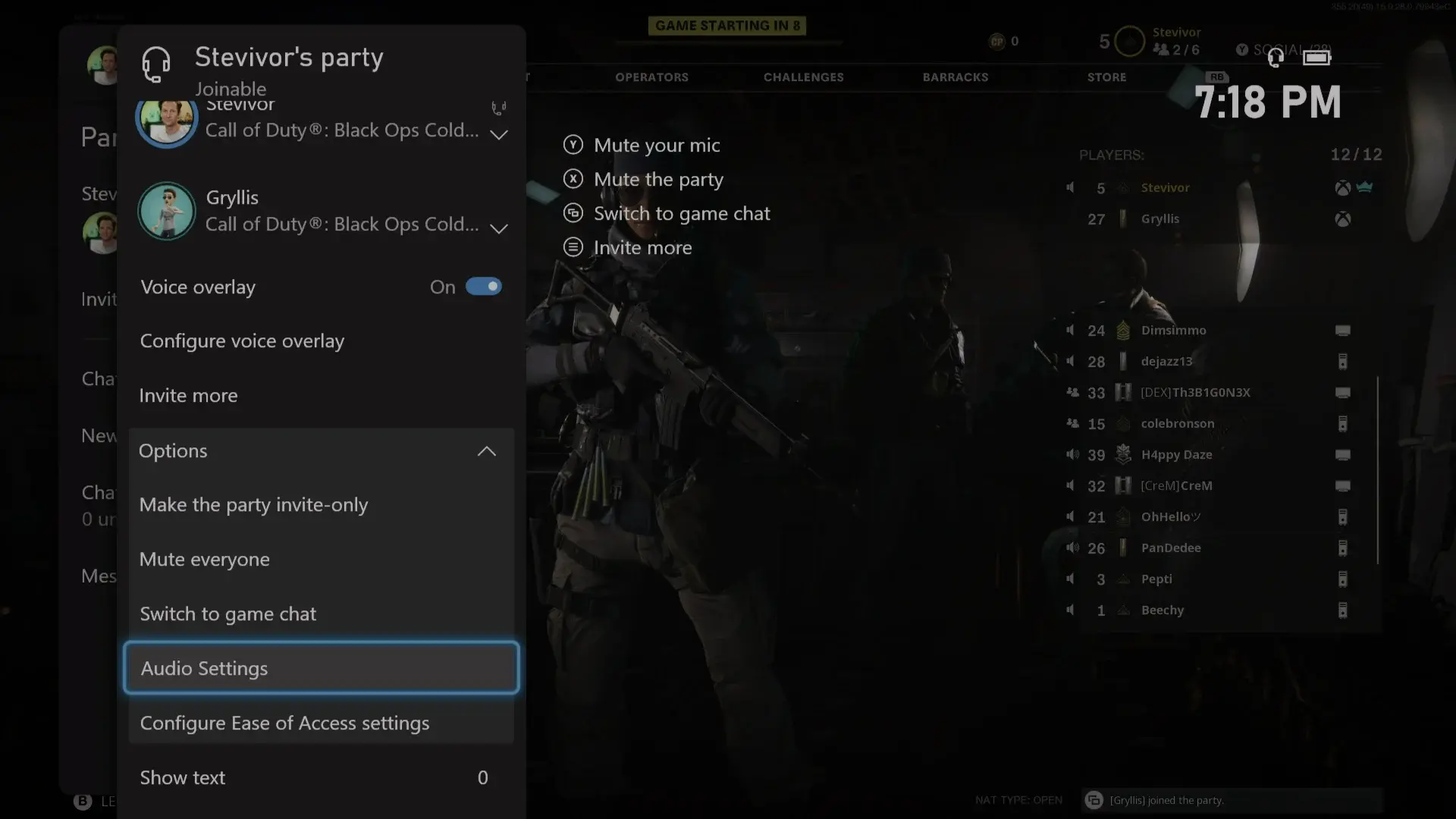 Xbox UI Party Audio Settings