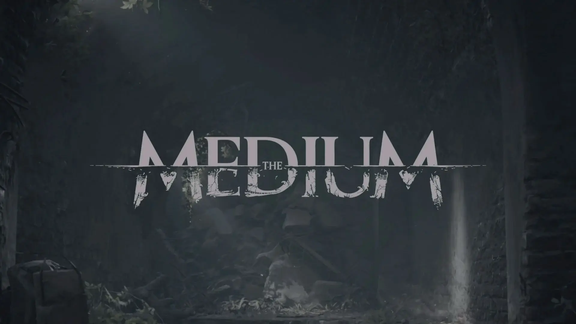 the medium 1