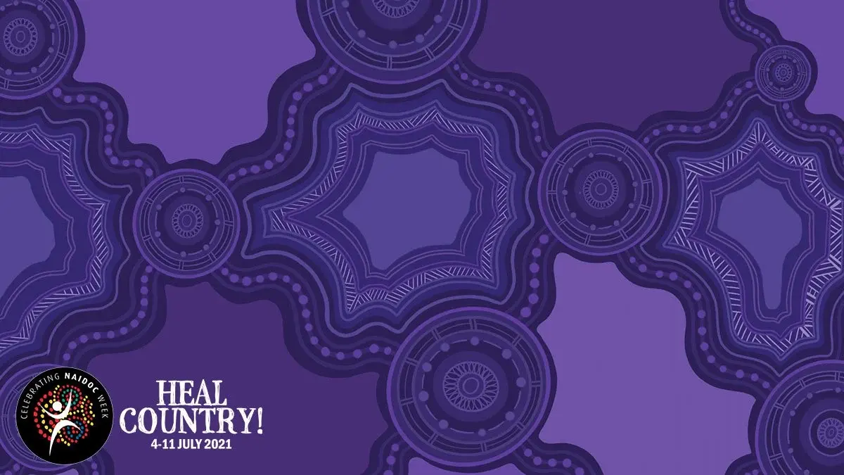 twitch naidoc artwork